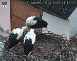 Capi_Dubne_20250715_211503.jpg