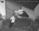 Capi_Dubne_20250715_213502.jpg