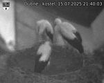 Capi_Dubne_20250715_214003.jpg