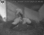 Capi_Dubne_20250715_214503.jpg
