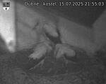 Capi_Dubne_20250715_215503.jpg