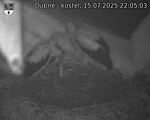 Capi_Dubne_20250715_220503.jpg