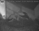 Capi_Dubne_20250715_221003.jpg