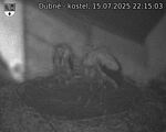 Capi_Dubne_20250715_221503.jpg