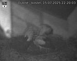 Capi_Dubne_20250715_222003.jpg
