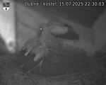 Capi_Dubne_20250715_223003.jpg