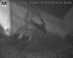 Capi_Dubne_20250715_223503.jpg