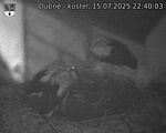 Capi_Dubne_20250715_224003.jpg