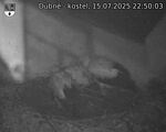 Capi_Dubne_20250715_225003.jpg