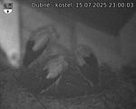 Capi_Dubne_20250715_230003.jpg