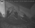 Capi_Dubne_20250715_230503.jpg