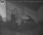 Capi_Dubne_20250715_232003.jpg