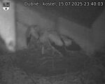 Capi_Dubne_20250715_234003.jpg
