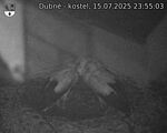 Capi_Dubne_20250715_235503.jpg