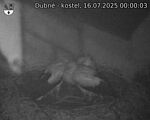 Capi_Dubne_20250716_000003.jpg