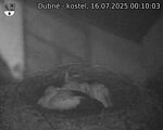 Capi_Dubne_20250716_001003.jpg