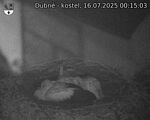 Capi_Dubne_20250716_001503.jpg