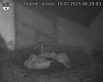 Capi_Dubne_20250716_002003.jpg