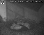 Capi_Dubne_20250716_002502.jpg