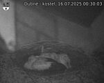 Capi_Dubne_20250716_003003.jpg