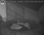 Capi_Dubne_20250716_003503.jpg