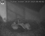 Capi_Dubne_20250716_004002.jpg