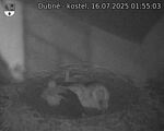 Capi_Dubne_20250716_015503.jpg