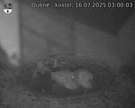 Capi_Dubne_20250716_030003.jpg