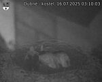 Capi_Dubne_20250716_031003.jpg