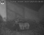 Capi_Dubne_20250716_033003.jpg