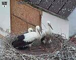 Capi_Dubne_20250716_115003.jpg