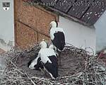 Capi_Dubne_20250716_120503.jpg