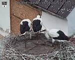 Capi_Dubne_20250716_121503.jpg
