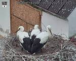 Capi_Dubne_20250716_130503.jpg