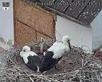Capi_Dubne_20250716_131003.jpg