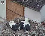 Capi_Dubne_20250716_131502.jpg