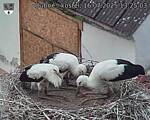 Capi_Dubne_20250716_132503.jpg