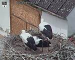 Capi_Dubne_20250716_133002.jpg