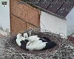 Capi_Dubne_20250716_135003.jpg