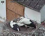 Capi_Dubne_20250716_140003.jpg