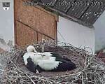 Capi_Dubne_20250716_142503.jpg