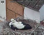 Capi_Dubne_20250716_143002.jpg