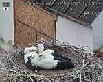 Capi_Dubne_20250716_144002.jpg