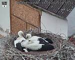 Capi_Dubne_20250716_145503.jpg