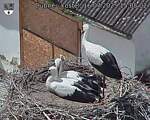 Capi_Dubne_20250716_150502.jpg