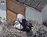 Capi_Dubne_20250716_151003.jpg