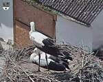 Capi_Dubne_20250716_151502.jpg