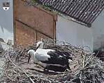 Capi_Dubne_20250716_152002.jpg