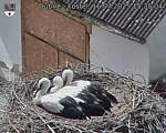 Capi_Dubne_20250716_153504.jpg