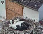 Capi_Dubne_20250716_154003.jpg